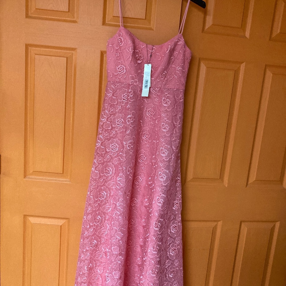 NWT Monique LHuillier Linda Lace Long Dress Petal Pink Sz 2